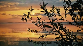 Mielőtt elköszönt... 