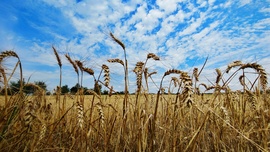 Balatonlelle 