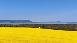 Somoshegyi kilátóból a panoráma 