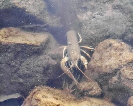 Véletlen találkozás... 