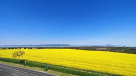 Somoshegyi kilátóból a panoráma 