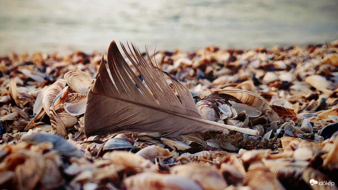 Valaki elhagyta...:)