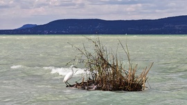 Balatonlelle 