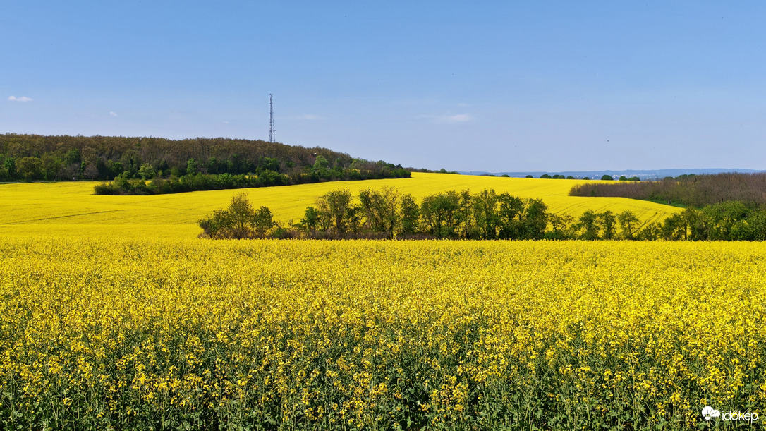 Somoshegyi kilátóból a panoráma 