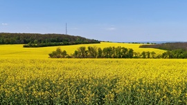 Somoshegyi kilátóból a panoráma 