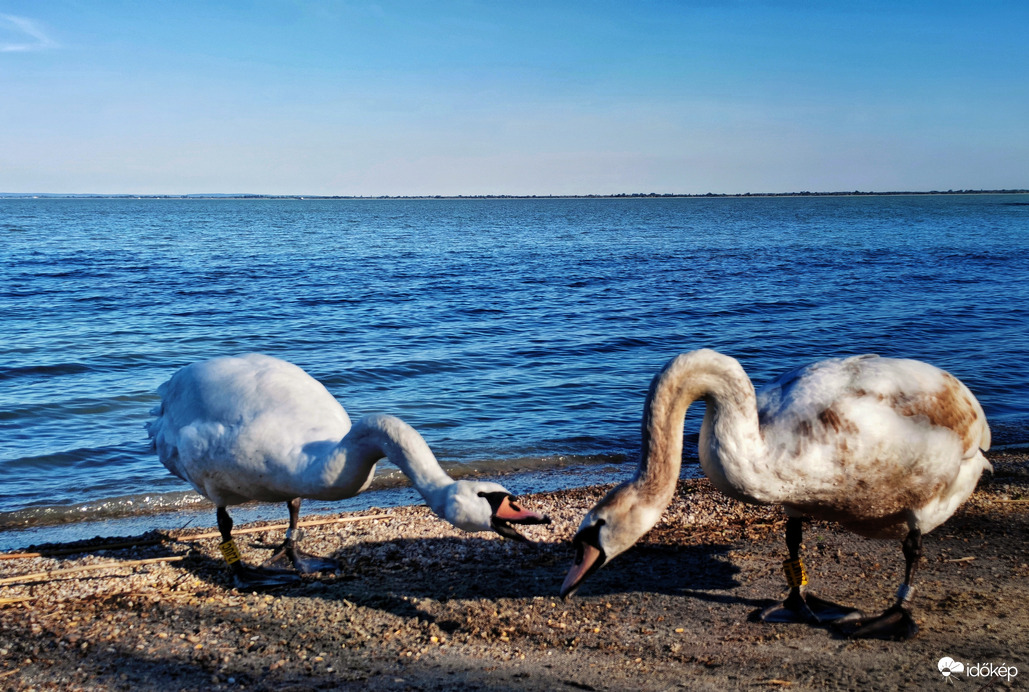Nem megmondtam, hogy időben gyere haza... 
