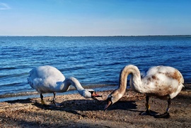 Nem megmondtam, hogy időben gyere haza... 
