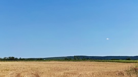 Keresd a hibát a képen!:)