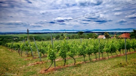 Mini Toscana... :) 