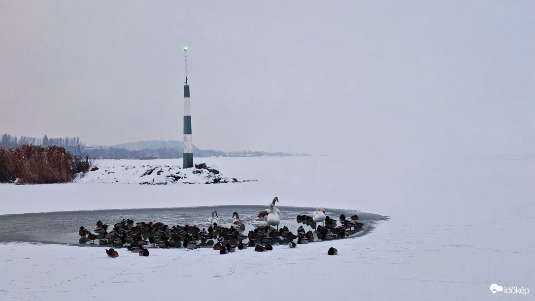 Csend ölelt át a mólón... 