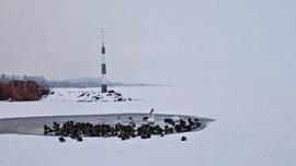 Csend ölelt át a mólón... 