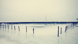 Már csak eső van a jégen... Ma már nincs tömeg... 