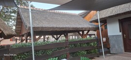 Somogyjád