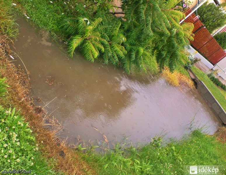 Sarkad