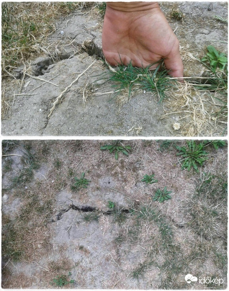 Több hónapja tartó szárazság eredményeként.. 