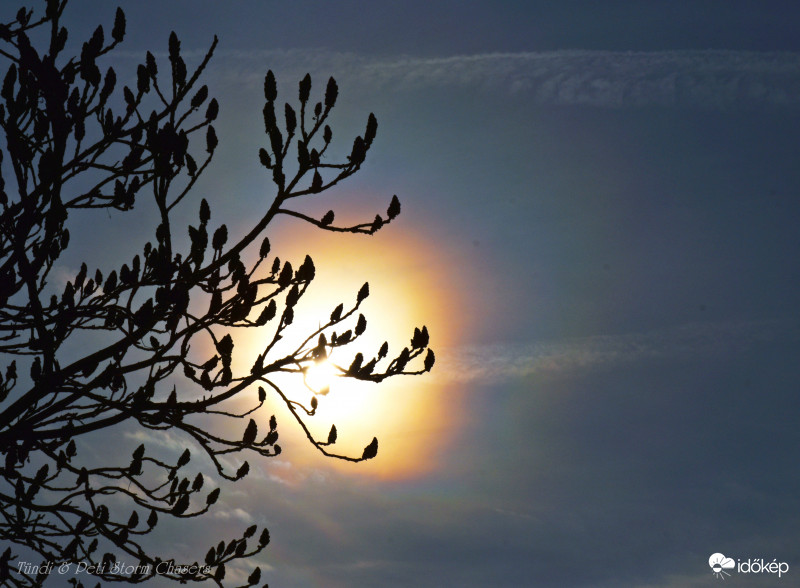 Pár perccel ezelőtti koszorú 