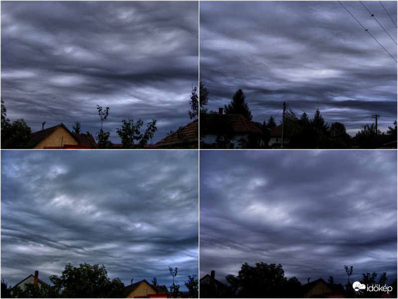 Undulatus asperatus - Ma reggel