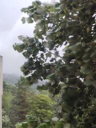 Budapest XII.ker - Normafa