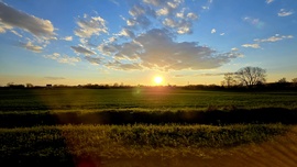 Alkonyat# Szekszárd