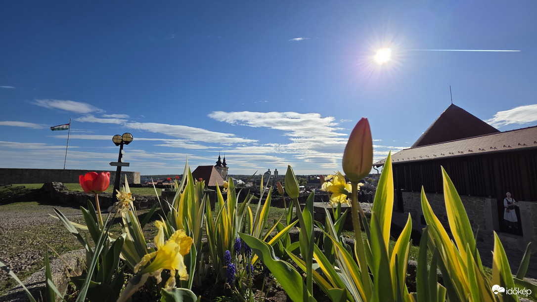 Tulipánok az Egri Várban