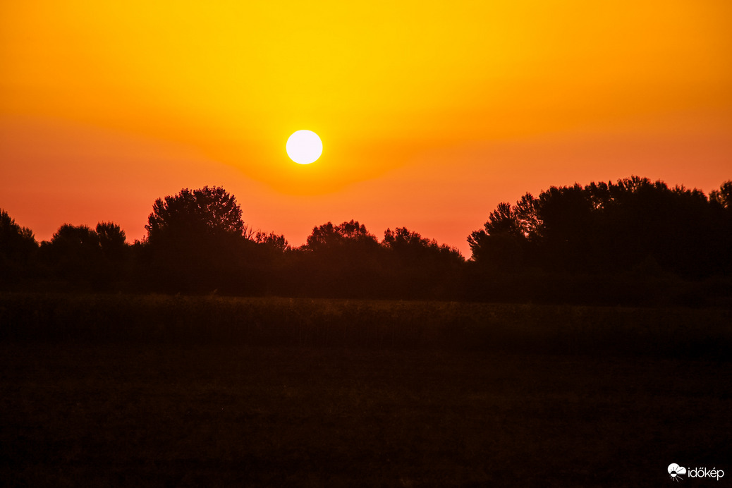 Napkeltés ébredés a berekben 