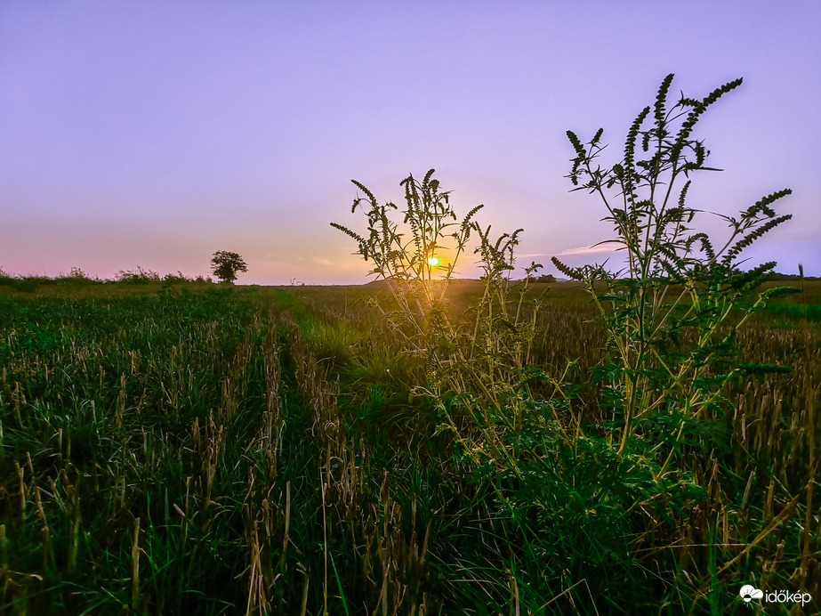 Nemeskocsi naplemente 