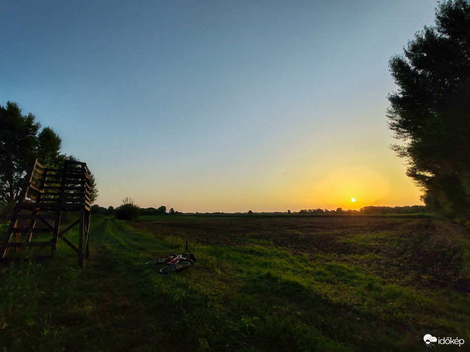 Napkeltés ébredés a berekben 