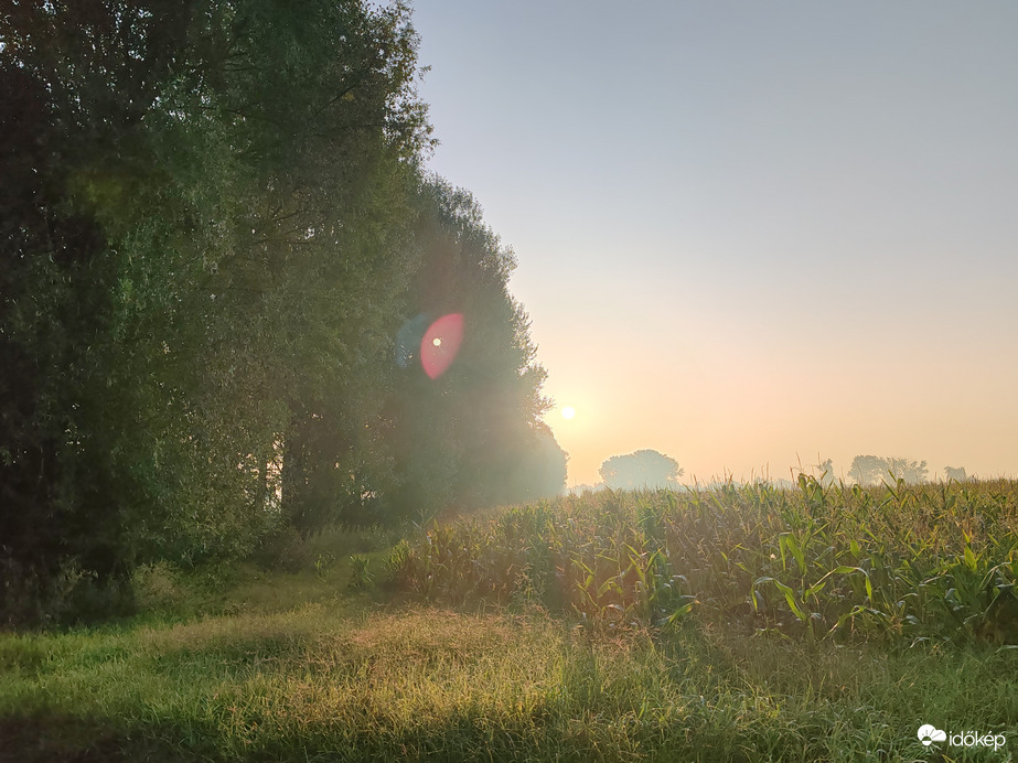 Nemeskocsi naplkelte 