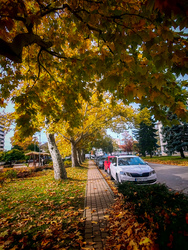 turieszter_91 fotója