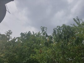 Tiszacsege