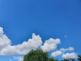 Tiszacsege