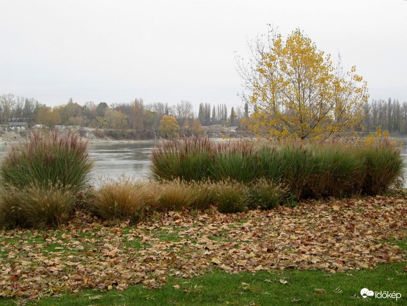 Őszi hangulat egy borongós napon..