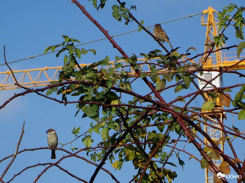 Aki engedi a fotót és aki nem..