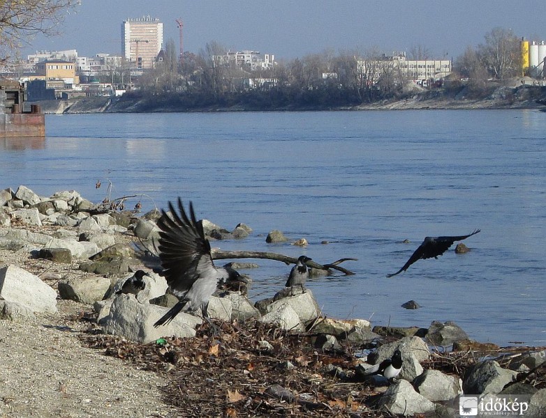 Satufék és lopakodó ...