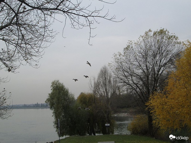 Landolás a nagy Dunára..