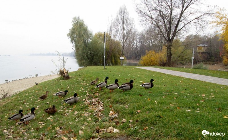 Felfelé a lejtőn..