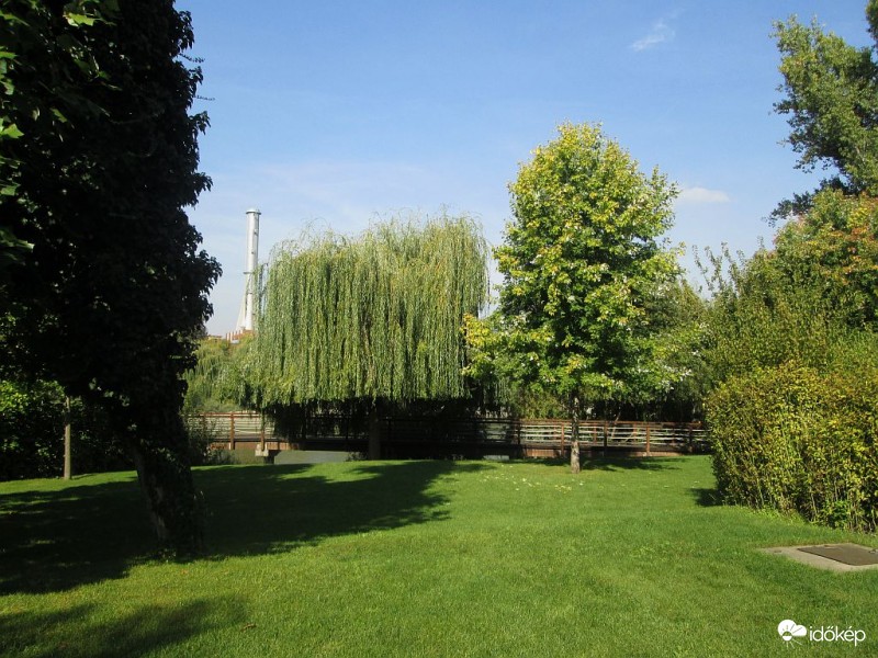 Frizura-fa fodrász után..