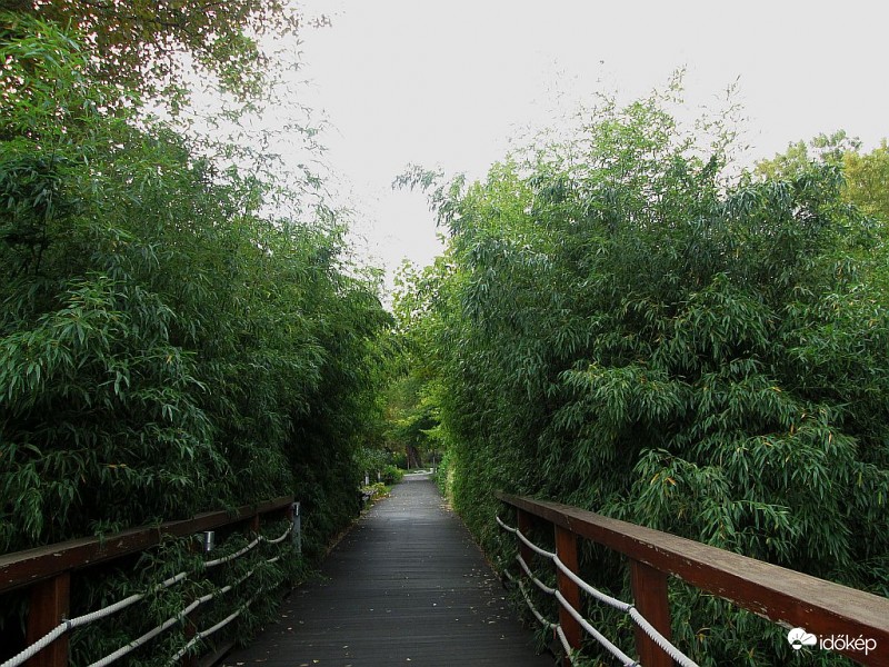 Még zöld az "alagút"