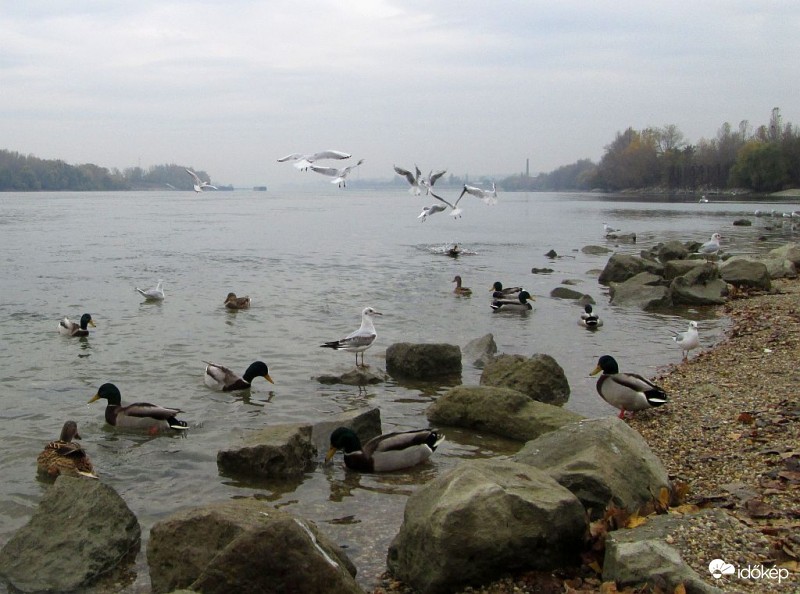 Repülési technikák..