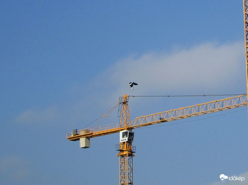 Daruk társaságában..