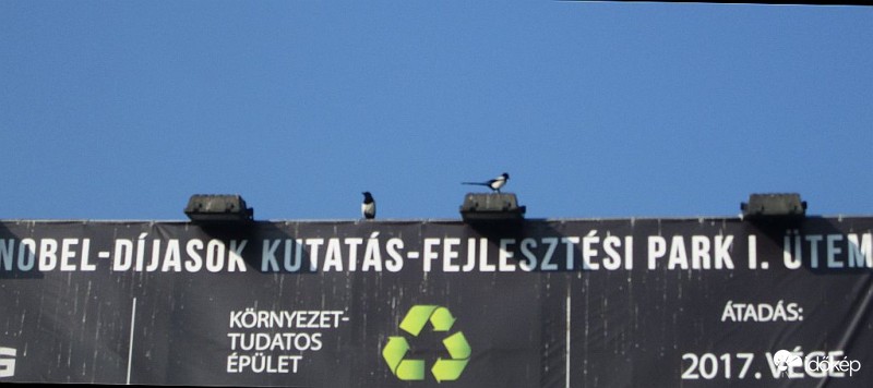 Mit szólsz, mi épül itt...