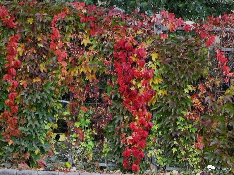 A színes szőttes egy motívuma...