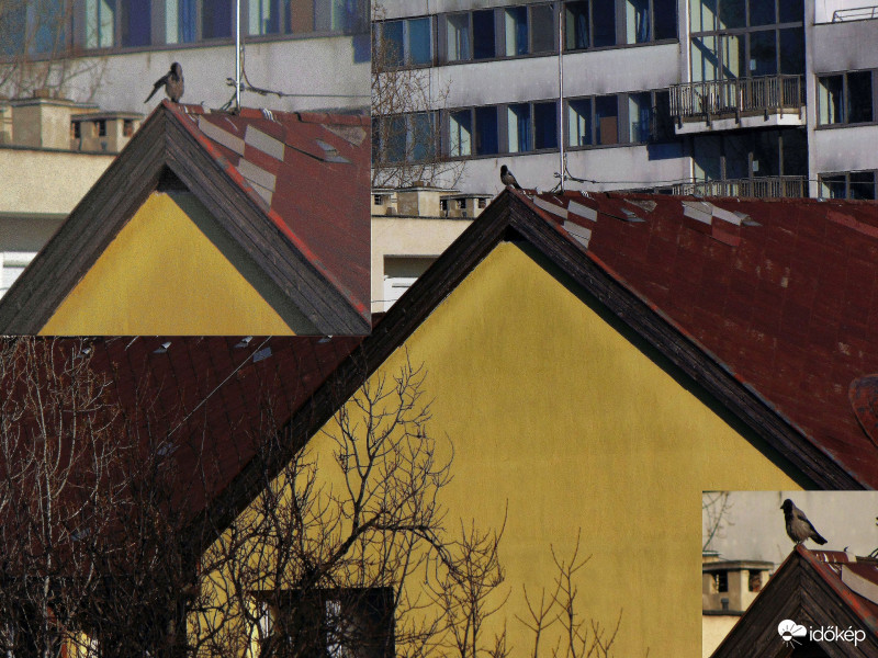 Káár(örvendők)