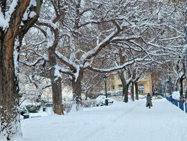 A Bartók Béla úton