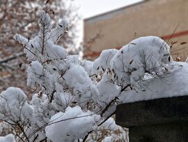 Budapest XI.kerület,