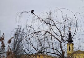 "Nyugaton a helyzet véltozatlan..."