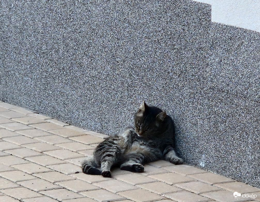 A szomszéd kövén még a nyújtózás is jobban esik!
