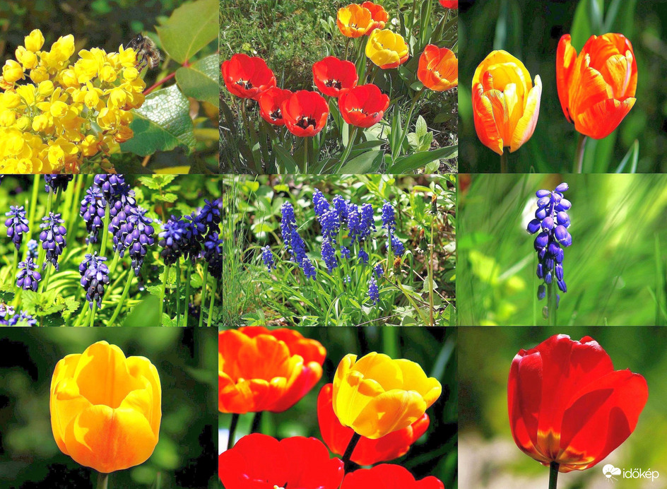 Kellemes Húsvéti Ünnepeket kívánok!