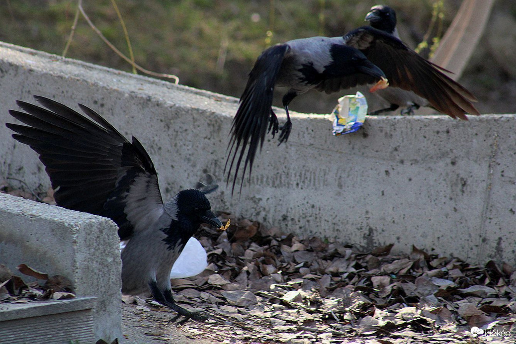 Tavaszi nagytakarítás