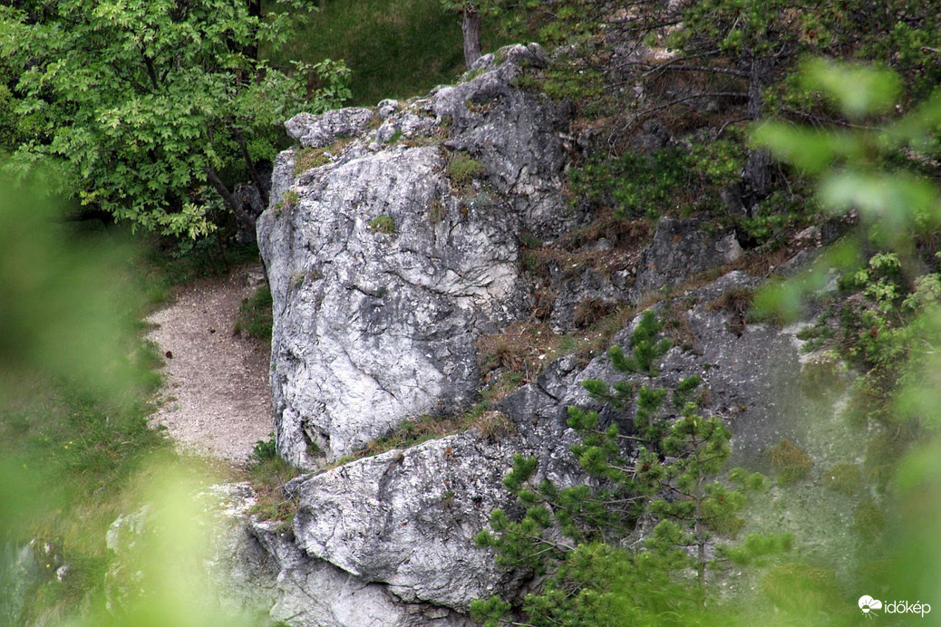 Sziklák